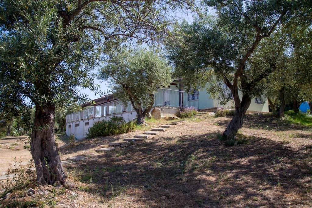 Villa Tramonto Αλγκέρο Εξωτερικό φωτογραφία
