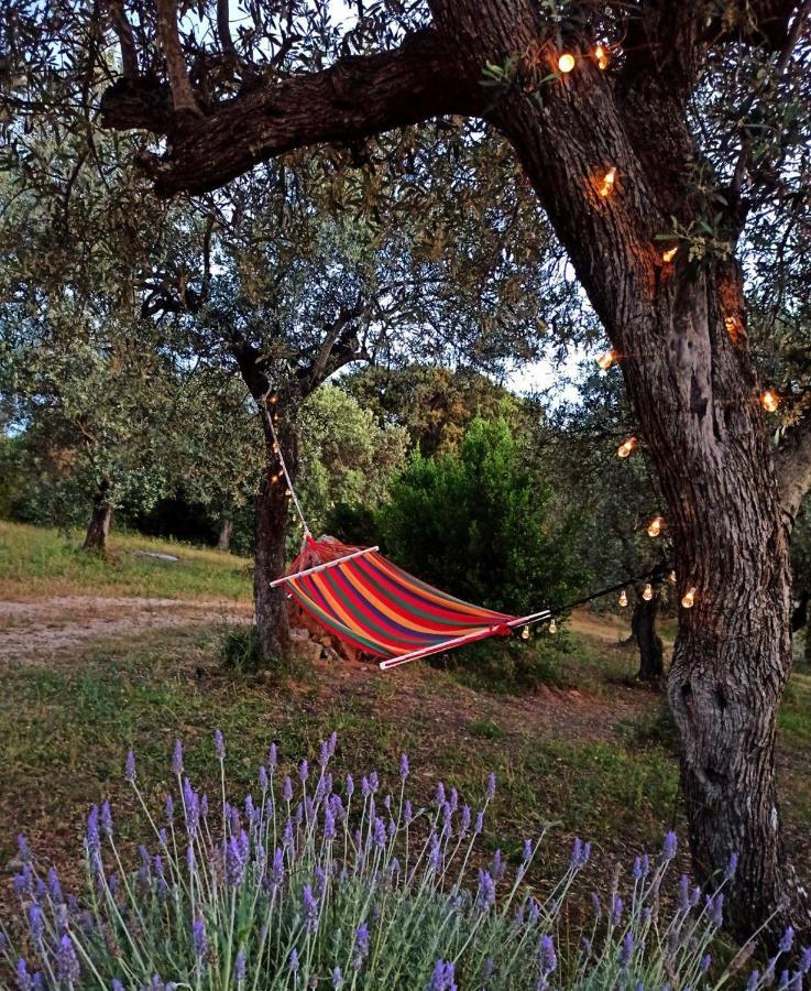 Villa Tramonto Αλγκέρο Εξωτερικό φωτογραφία